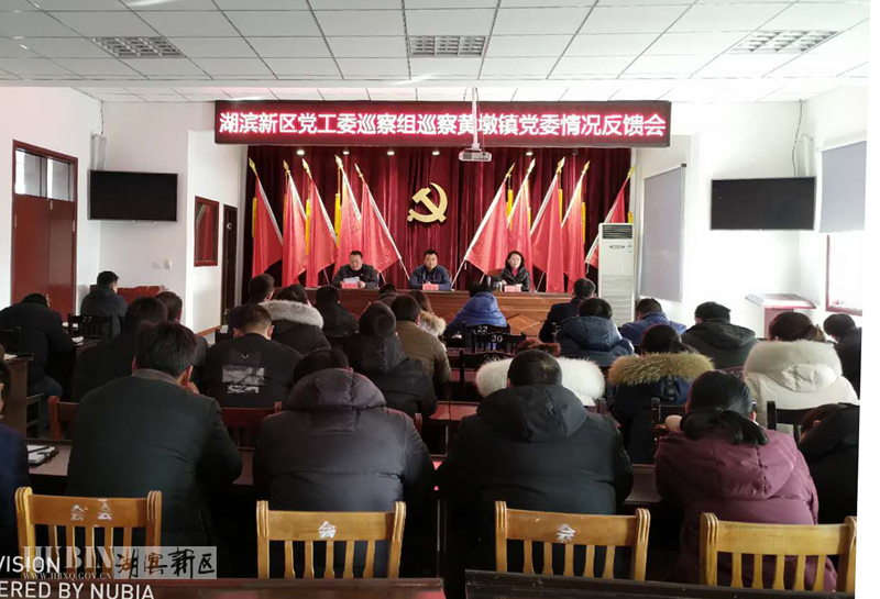 我区召开党工委巡察组巡察晓店镇井头乡皂河镇黄墩镇党委巡察情况反馈